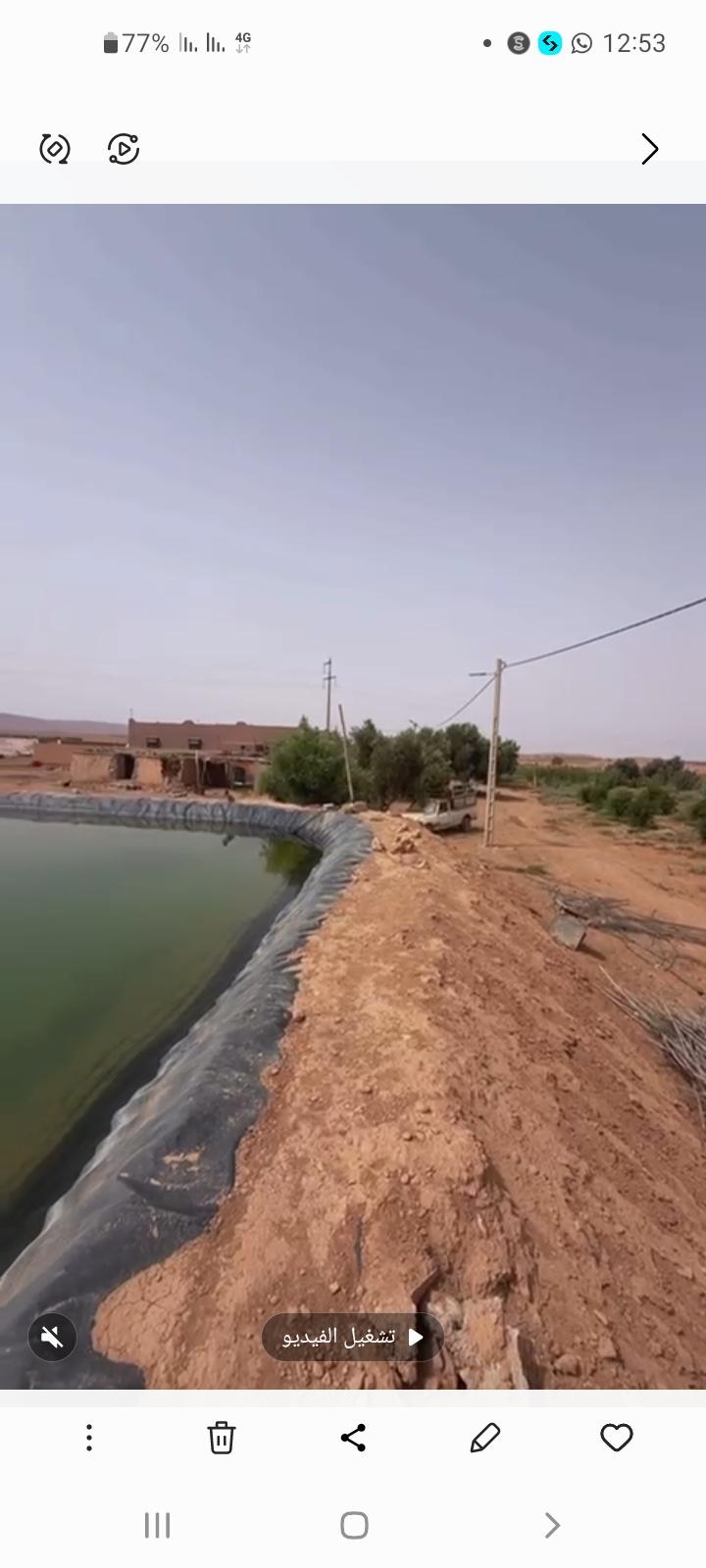 كلميم تيغمرت