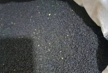 زريعة البصل الحمرة ضواحي إفران