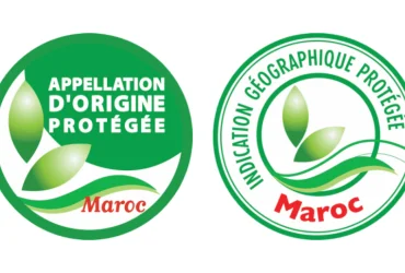 Accompagnement à la certification SDOQ