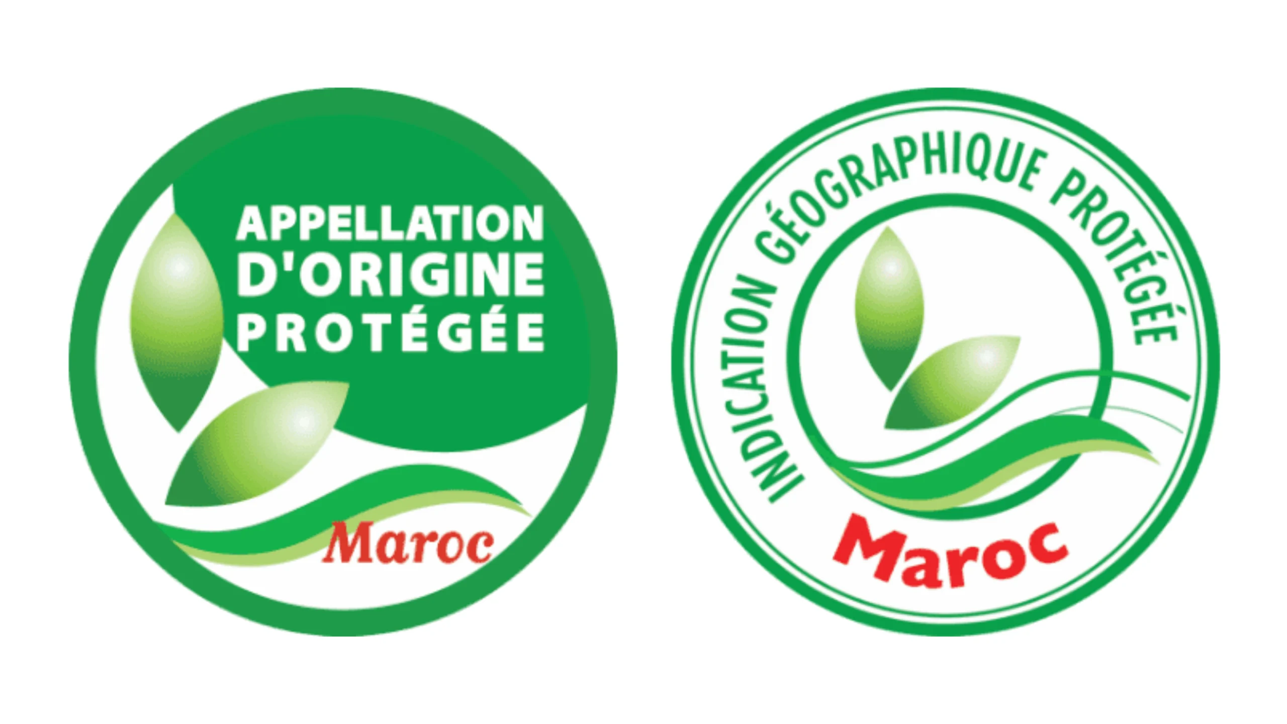 Accompagnement à la certification SDOQ