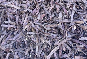 خروب ذات جودة ممتازة