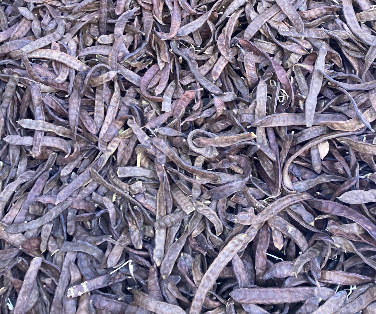 خروب ذات جودة ممتازة