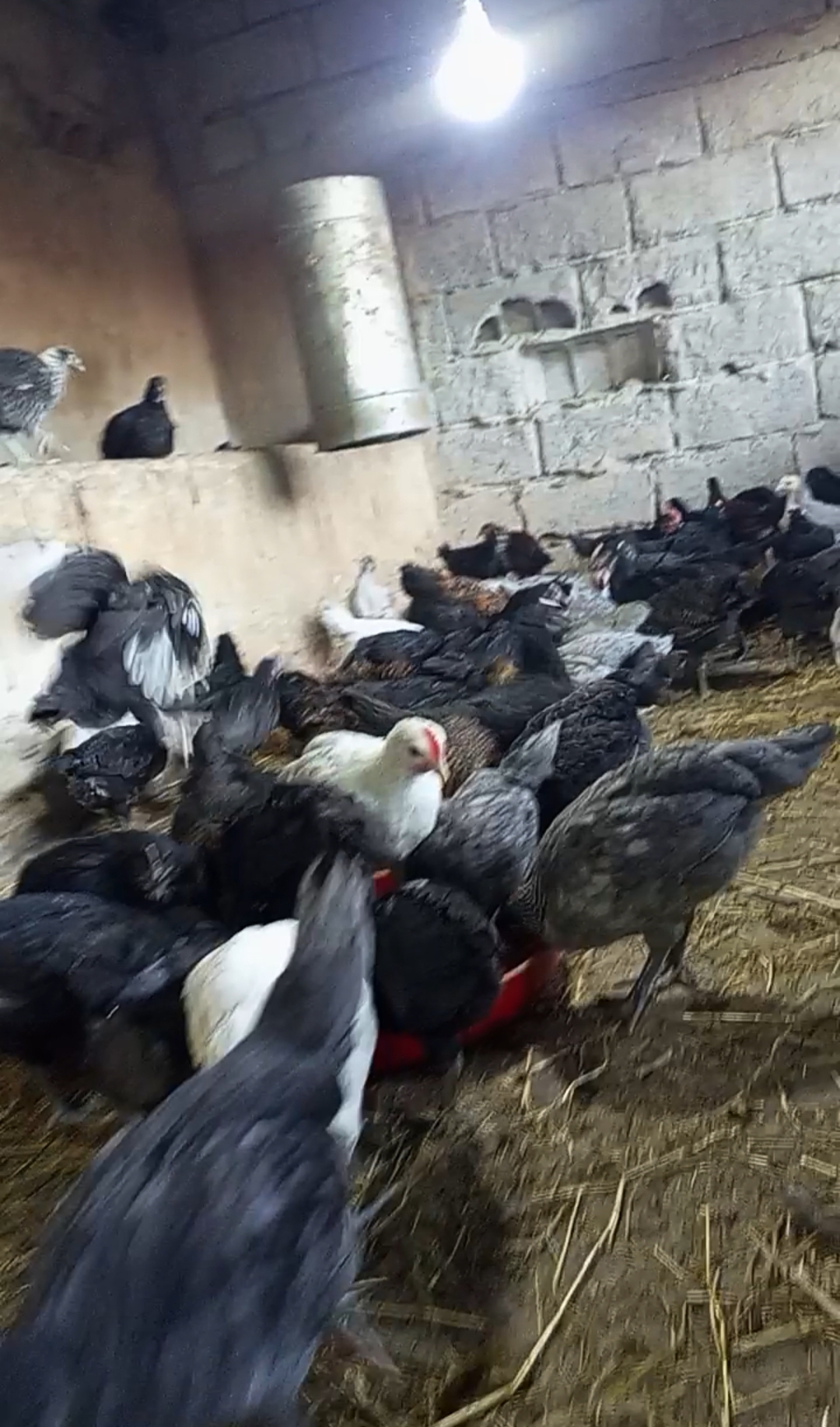 دوار لبسابس غربية عين تيزغة بنسليمان