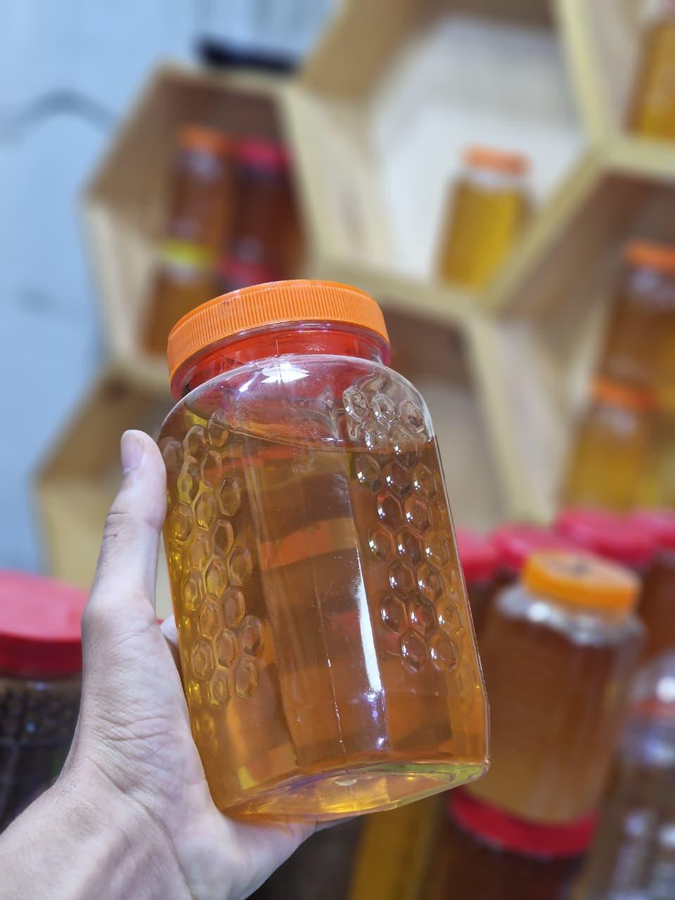 عسل الكالبتوس