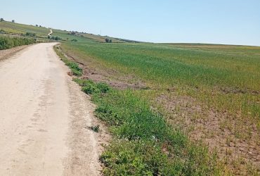 أرض فلاحية خصبة للبيع نواحي بن احمد (جهة الدار البيضاء الكبرى)