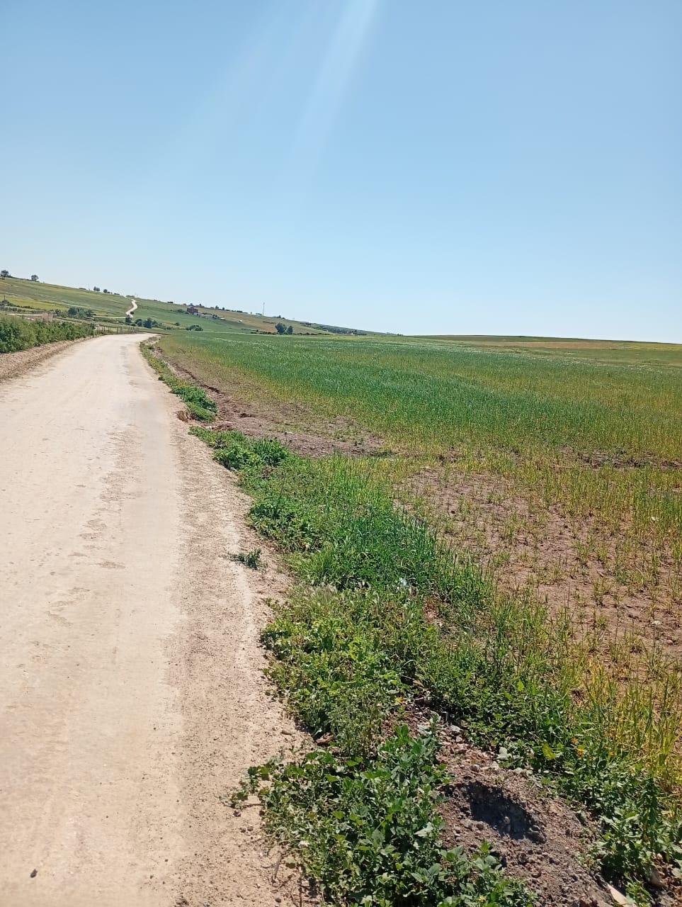 أرض فلاحية خصبة للبيع نواحي بن احمد (جهة الدار البيضاء الكبرى)