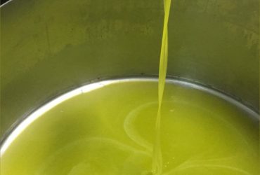 زيت الزيتون