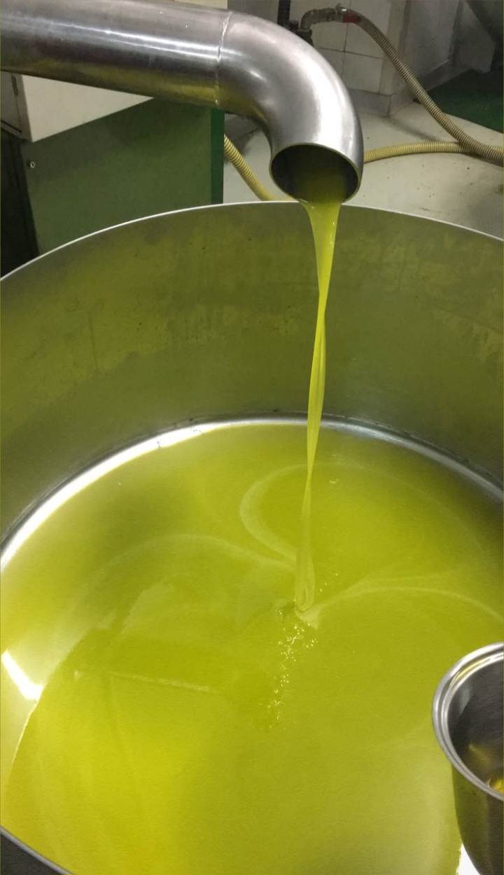 زيت الزيتون