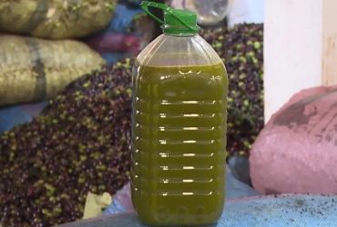 زيت الزيتون الجبلية البورية