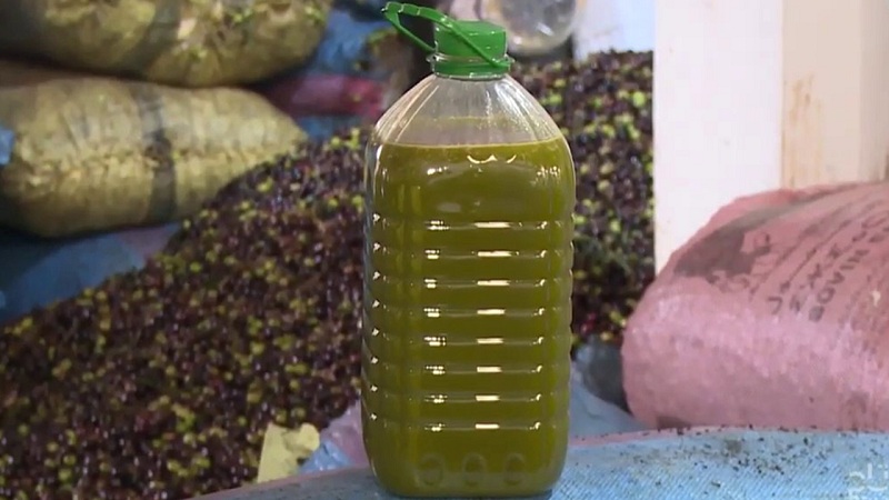 زيت الزيتون الجبلية البورية