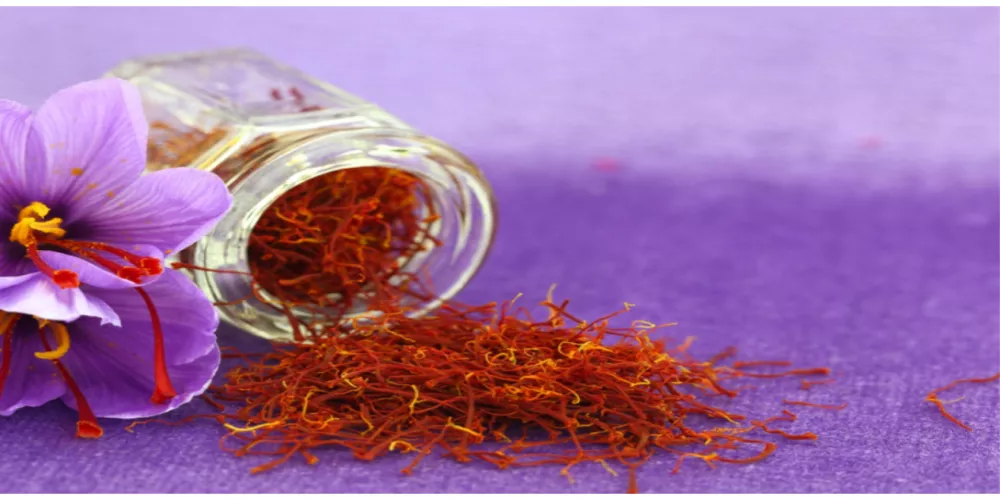 الزعفران الحر