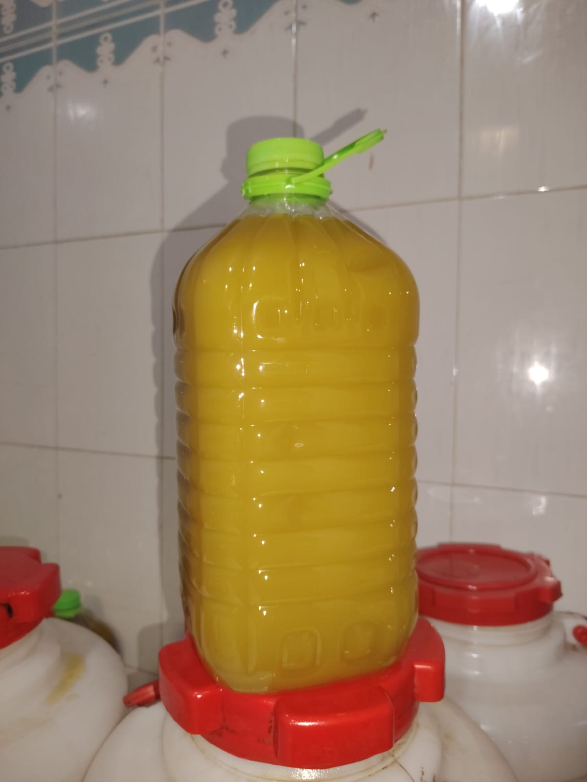 🌿 زيت زيتون بلدي عصرة أولى – عرض اليوم فمراكش