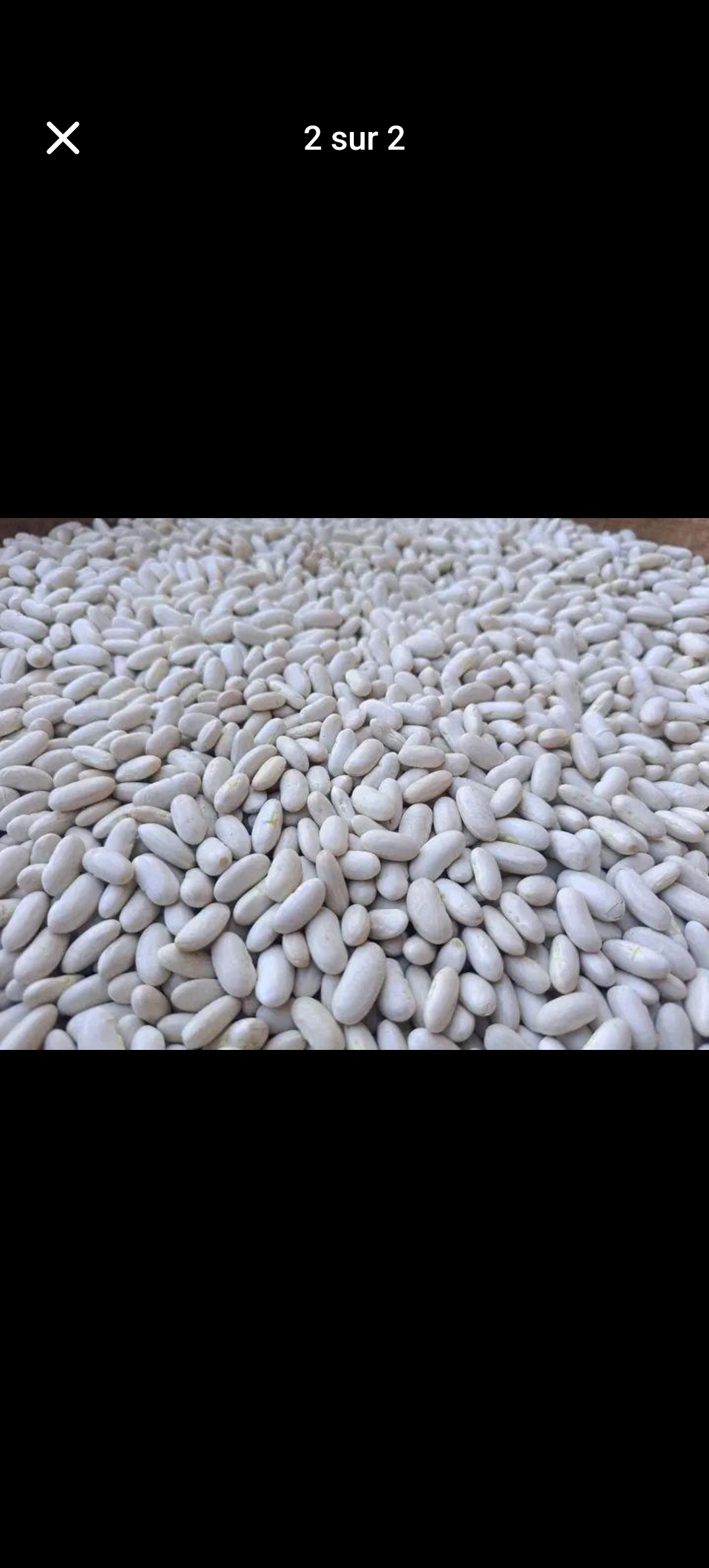 لوبية ديال البلاد طيابة