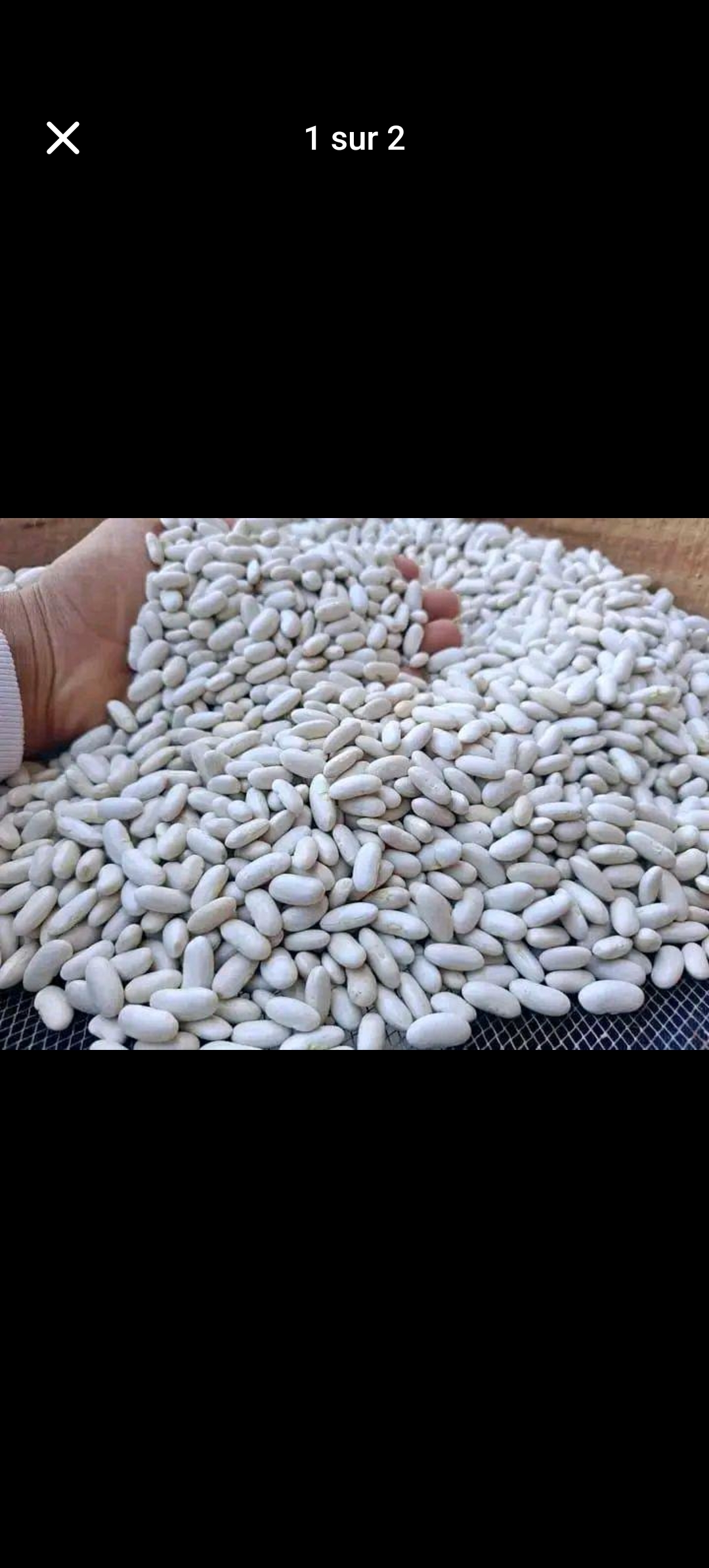 لوبية ديال البلاد طيابة